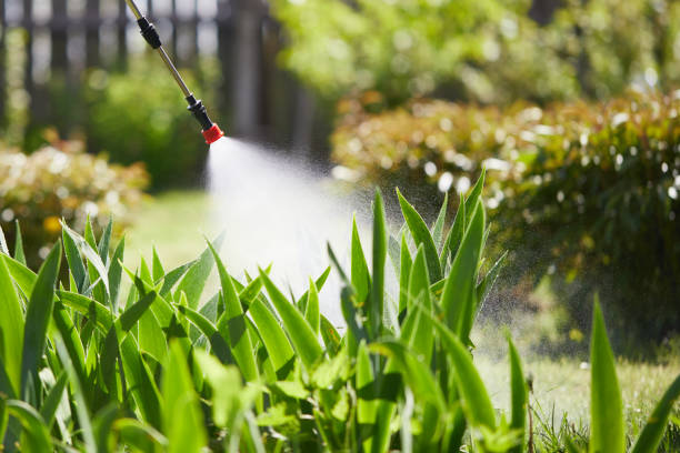 24/7 Emergency Ant Control experts in Morristown, NJ