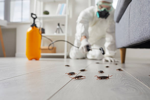 Trusted Mosquito Control service in Morristown, NJ - Nex Pest Control
